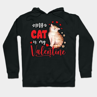 My cat is my Valentine Hoodie